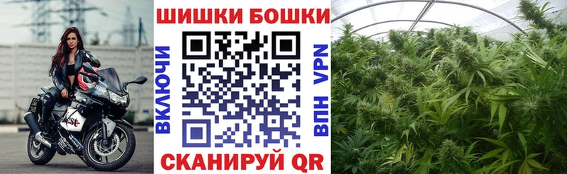 Псилоцибиновые грибы Никольск