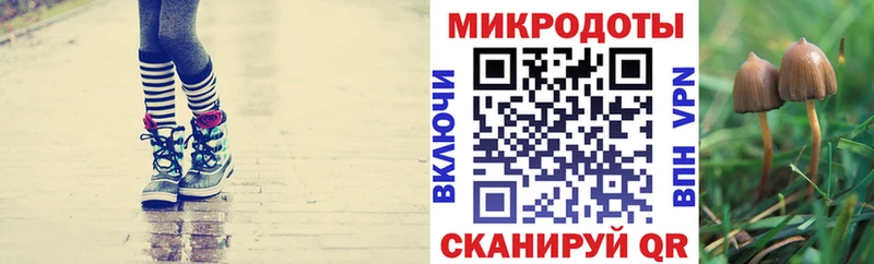 цена наркотик Никольск Псилоцибиновые грибы MAGIC MUSHROOMS